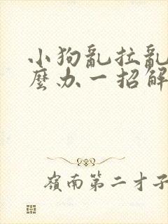 小狗乱拉乱尿怎么办一招解决