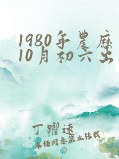 1980年农历10月初六出生生辰八字