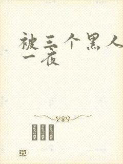 被三个黑人操了一夜