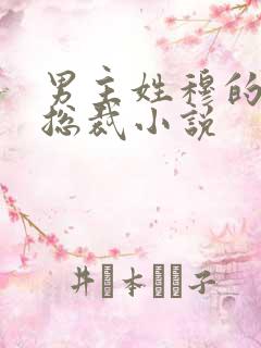 男主姓穆的霸道总裁小说