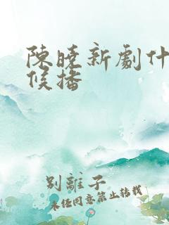 陈晓新剧什么时候播