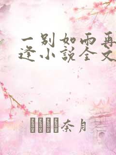 一别如雨再无相逢小说全文免费阅读