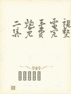 二炮手电视剧全集免费完整版