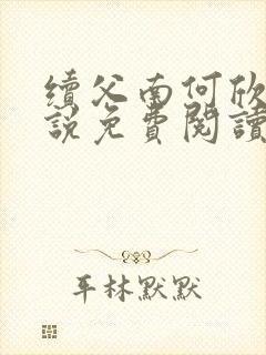 续父南何欣苞小说免费阅读