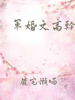 军婚文高干文