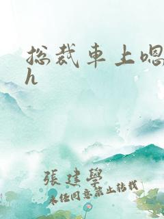 总裁车上嗯好紧h