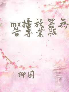 mx播放器无广告专业版