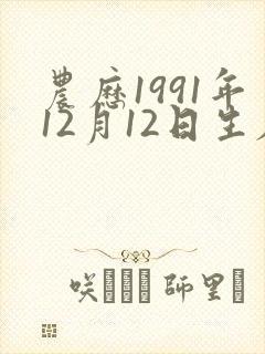 农历1991年12月12日生辰八字