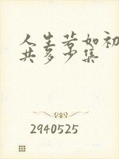 人生若如初见一共多少集
