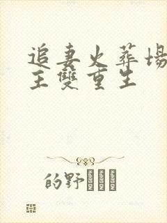 追妻火葬场双男主双重生