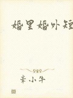 婚里婚外短剧
