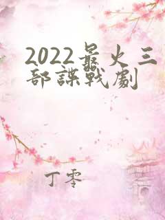 2022最火三部谍战剧