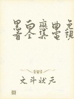 黑白恋曲免费观看全集电视剧高清