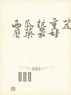 西瓜抗重茬用什么药最好