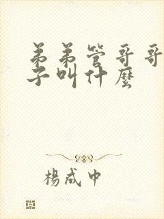 弟弟管哥哥的儿子叫什么