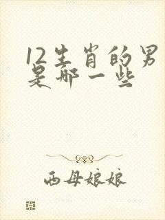 12生肖的男肖是哪一些