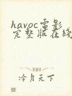 havoc电影完整版在线播放