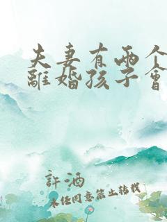 夫妻有两个孩子离婚孩子会判给谁