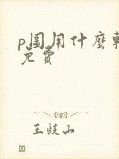 p图用什么软件免费