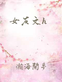 女友文h