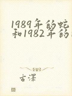 1989年的蛇和1982年的狗