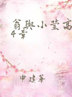 翁与小莹高潮24章