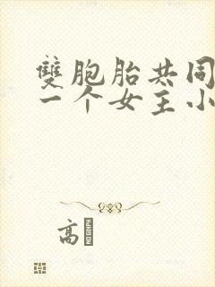 双胞胎共同享有一个女主小说