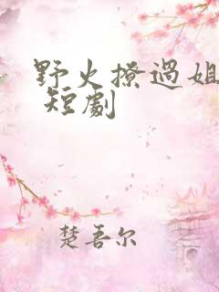 野火撩过姐姐心 短剧