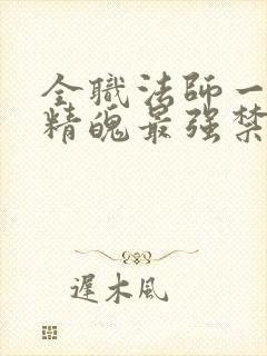 全职法师一天一精魄最强禁咒