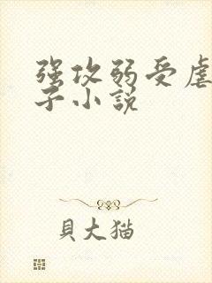 强攻弱受虐文生子小说 强攻弱受虐文生子小说