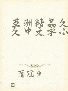 亚洲精品久久久久中文字小说