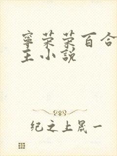宁荣荣百合双女主小说 宁荣荣百合双女主小说