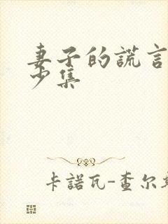 妻子的谎言共多少集 妻子的谎言共多少集