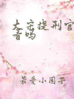 大宋提刑官值得看吗