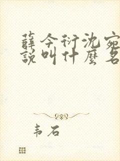 薛今衍沈宛乐小说叫什么名字