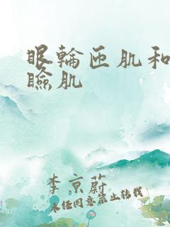 眼轮匝肌和提上睑肌
