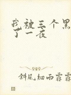 我被三个黑人操了一夜