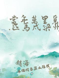 当年万里觅封侯.匹马戍梁州
