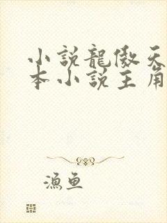 小说龙傲天是哪本小说主角