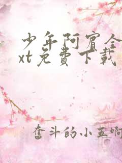 少年阿宾全本txt免费下载