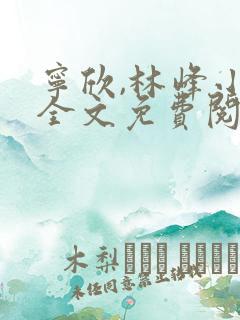 宁欣,林峰小说全文免费阅读最新章节