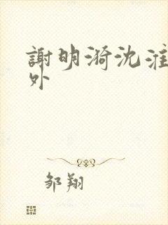 谢明漪沈淮舟番外