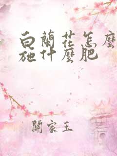 白兰花怎么施肥施什么肥