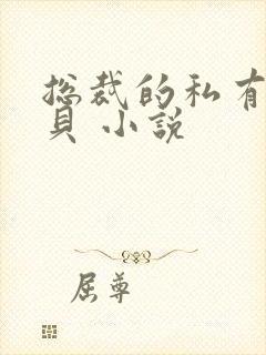 总裁的私有小宝贝 小说