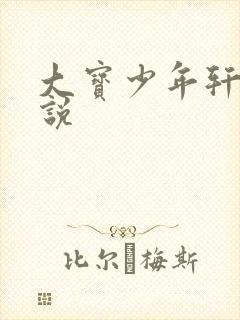 大宝少年轩辕小说