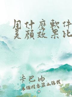 用什么软件拍照美颜效果比较好