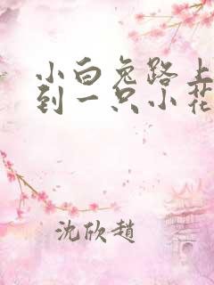 小白兔路上走碰到一只小花狗儿歌