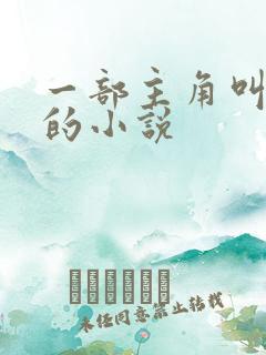 一部主角叫张宇的小说