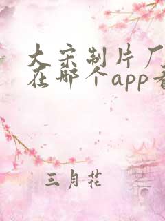 大宋制片厂短剧在哪个app看 大宋制片厂短剧在哪个app看