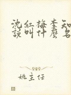 沈红梅李知言小说叫什么名字